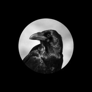 伊人情人网综合
