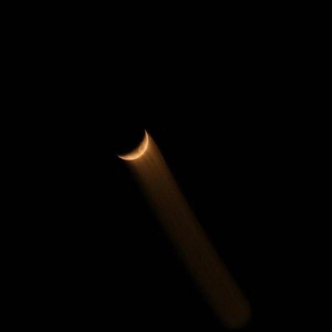 伊人情人网综合
